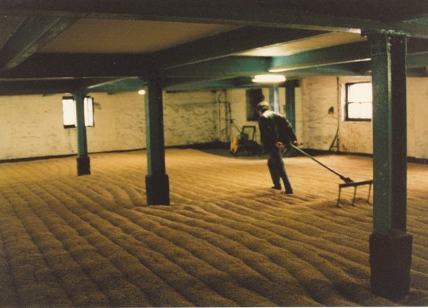 Raking the barley at Bowmore distillery