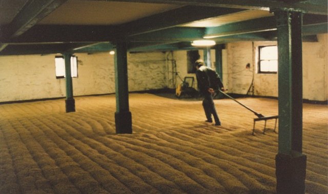 Raking the barley at Bowmore distillery