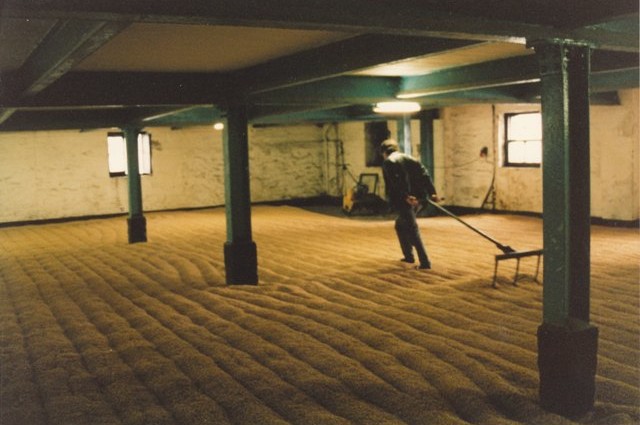 Raking the barley at Bowmore distillery