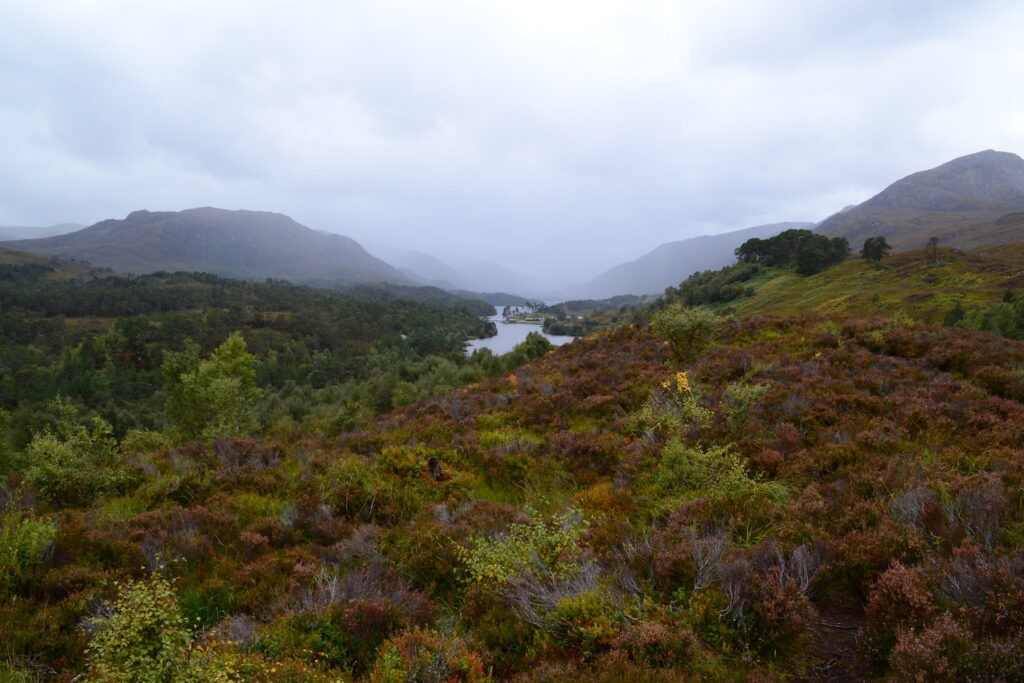 Glen Affric