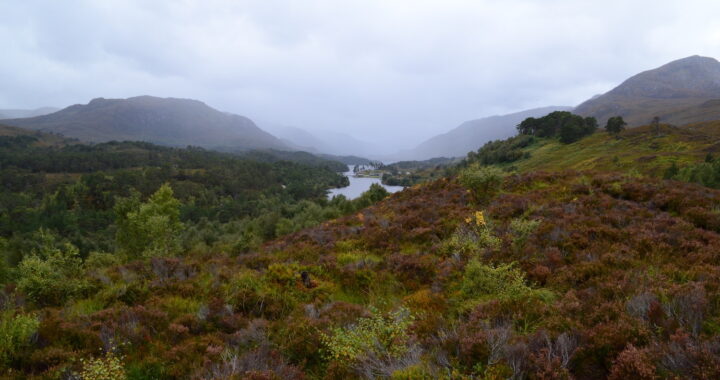 Glen Affric